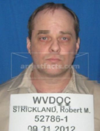 Robert Michael Strickland