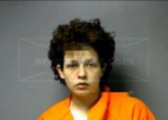 500.00 Pb Brittany Buzbee Walker _ Giving False Info _B&e _Assault Bond 76