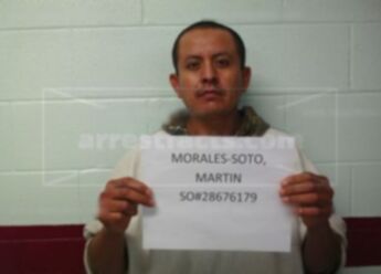 Martin Morales-Soto