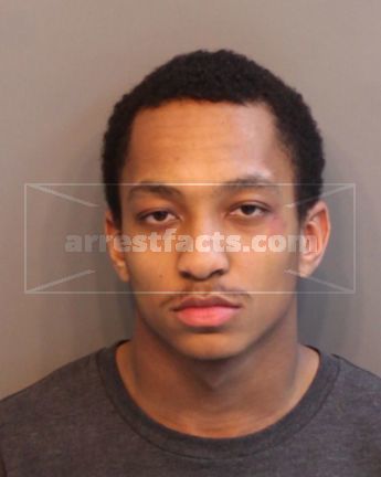 Tyler Hinton Sylvester