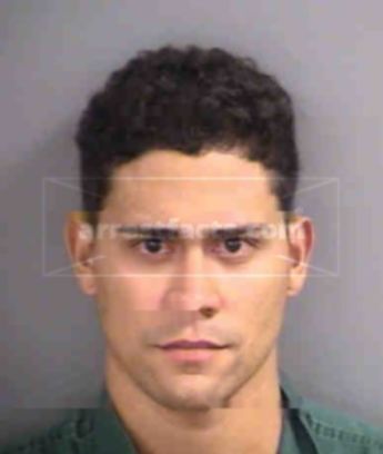 Mayobanex Daniel Puesan