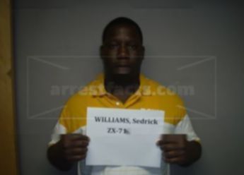 Sedrick Demond Williams