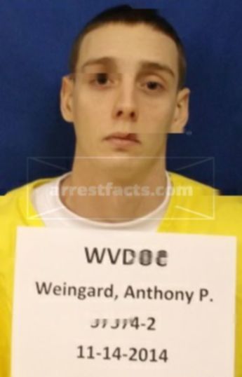 Anthony P Weingard