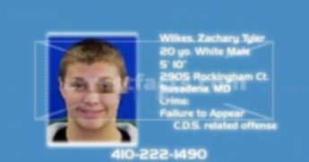 Wilkes Zachary Tyler