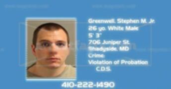 Greenwell Stephen Matthew Jr.