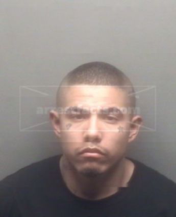 Joseph David Rodriguez