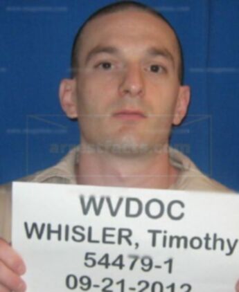 Timothy E Whisler