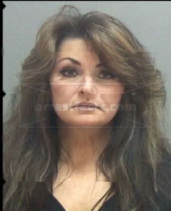 Shannon Lynn Symes of Utah, arrests, mugshots, and charges Updated 2025 ...