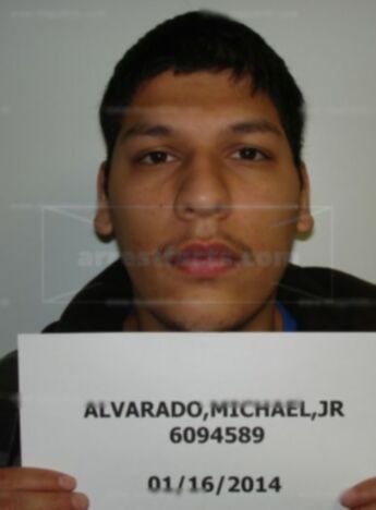 Michael Alvarado Jr.