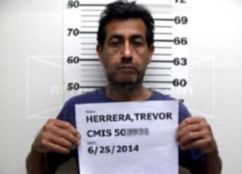 Trevor C Herrera