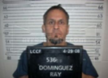 Ray Lupe Dominguez