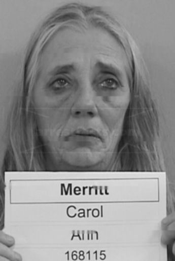 Carol Ann Merritt