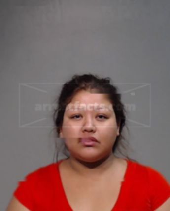 Leslie Briseida Lopez Hernandez