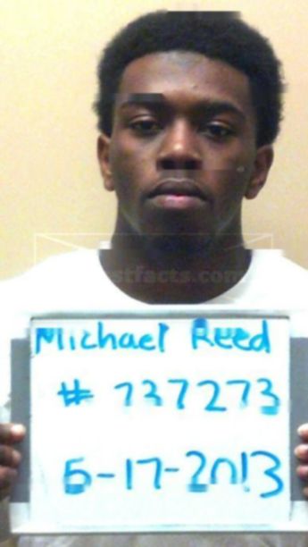 Michael D'angelo Reed