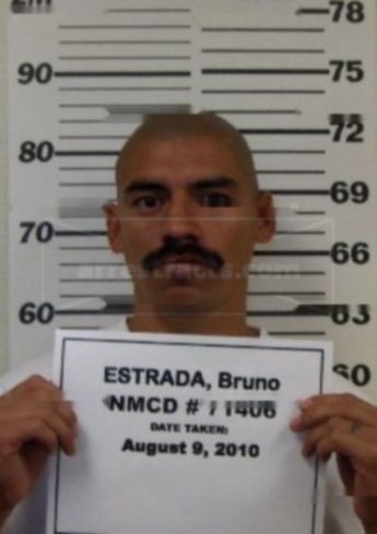 Bruno Estrada