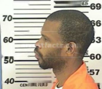 Stephen R Johnson