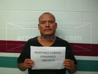Fernando Martinez-Cortez