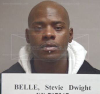 Stevie Dwight Belle