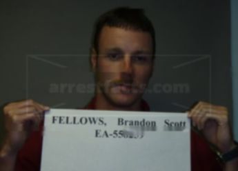 Brandon Scott Fellows