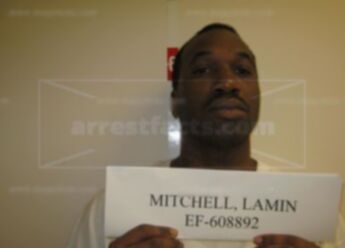 Lamin Mitchell