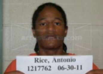 Antonio R Rice