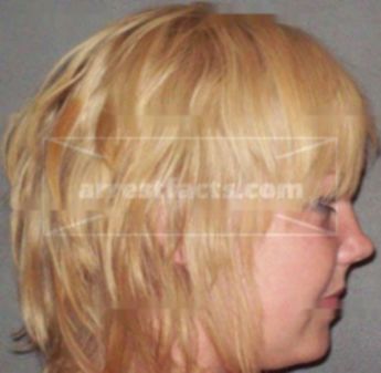 Holly Lynn Cook