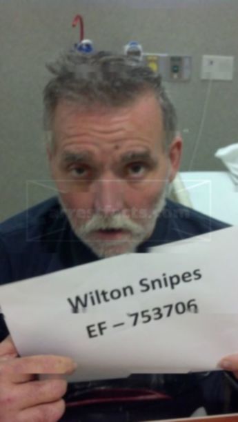 Wilton Eugene Snipes