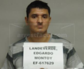 Edgardo Montoy Landeverde