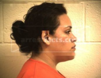 Adriana Martinez Villegas
