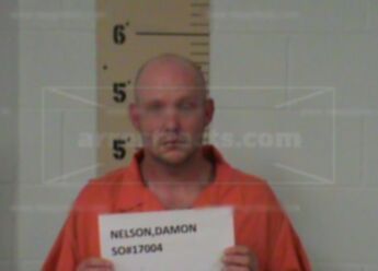 Damon John Nelson