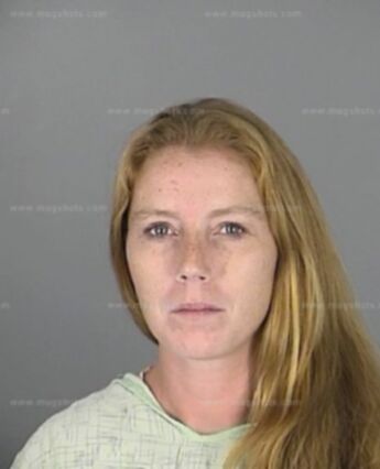 Nichole Michelle Long of Florida, arrests, mugshots, and charges ...