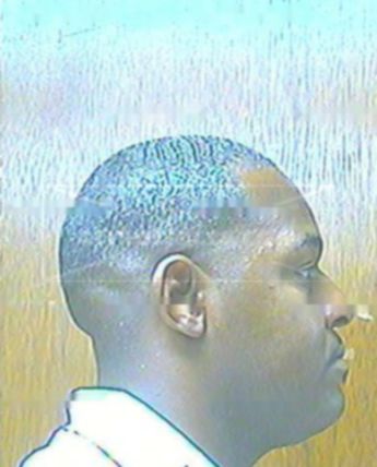 Martin B Whitfield