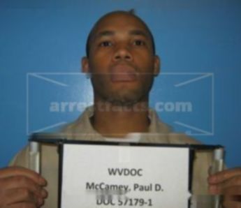 Paul David Mccamey