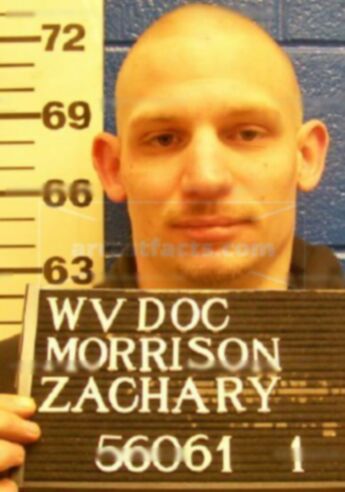 Zachary P Morrison