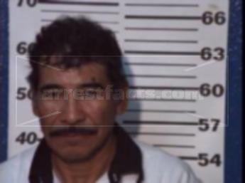 Pedro Martinez Zavala