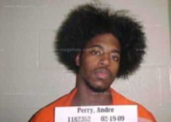 Andre Perry