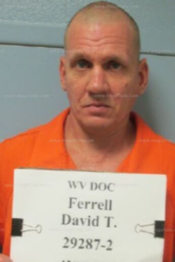 David Troy Ferrell