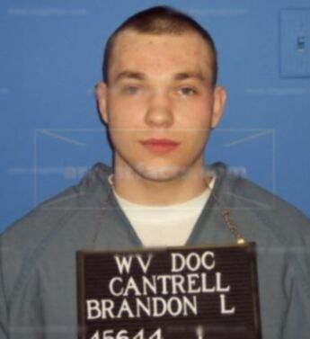 Brandon L Cantrell