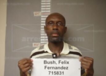 Felix Fernandez Bush