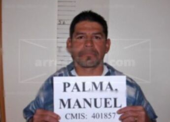 Manuel Morales Palma