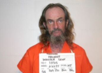 Walter Leon Palmer