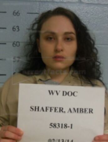 Amber D Shaffer