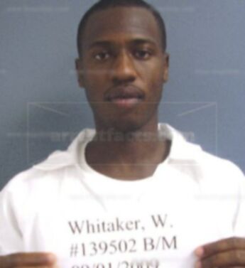 William T Whitaker Jr