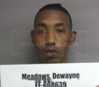 Dewayne L Meadows