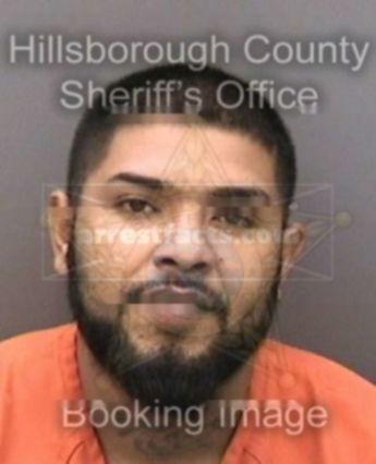 Noe Hernandez Jr.