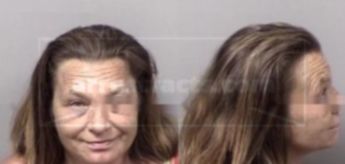 Cheryl Ann Monroe