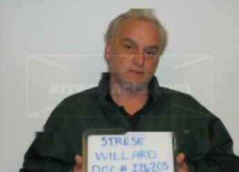 Willard J Strese