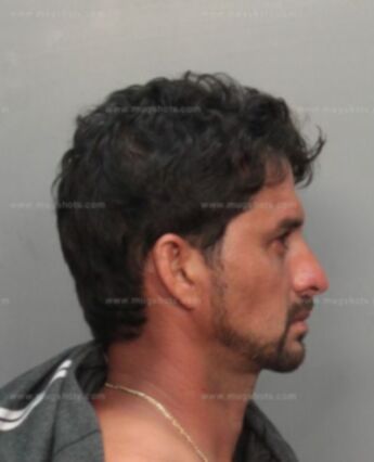 Walter A Martinez