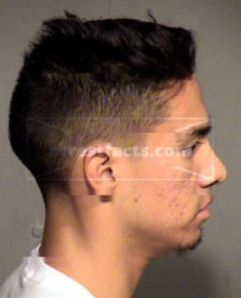Alfred Jesus Anthon Guzman