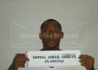 Jamaal Shibuya Tippins